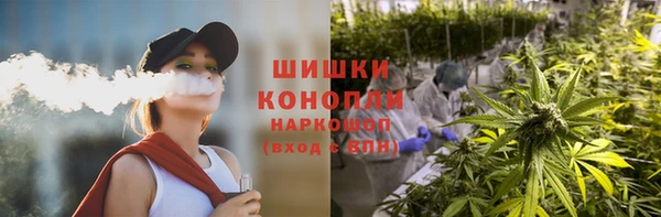 ПСИЛОЦИБИНОВЫЕ ГРИБЫ Белоозёрский