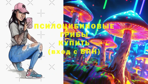 стаф Беломорск