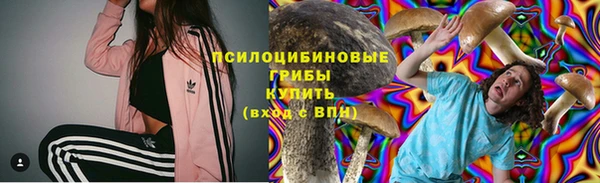 PSILOCYBIN Орехово-Зуево