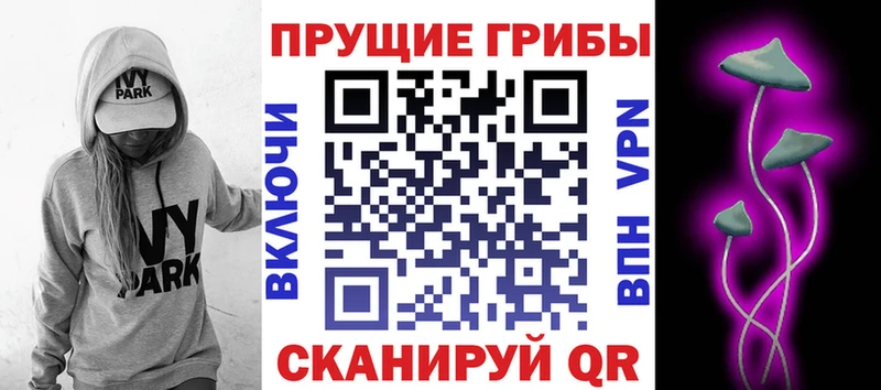 Галлюциногенные грибы GOLDEN TEACHER  Высоковск 
